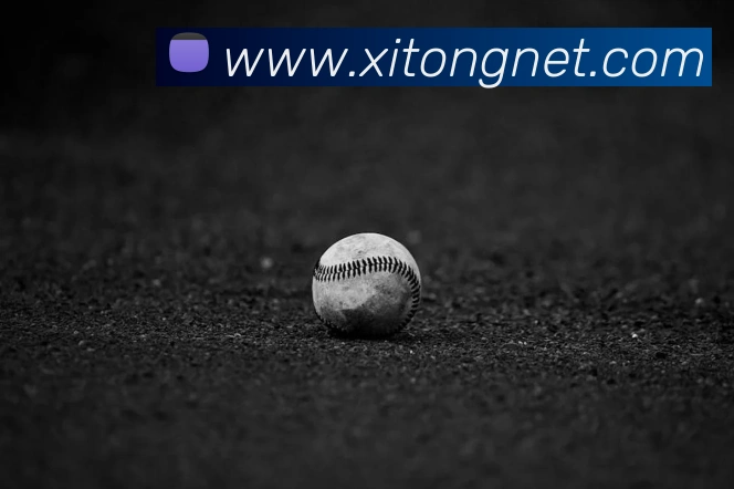 必一运动平台生态图